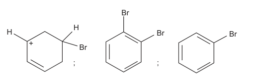Alternativa C
