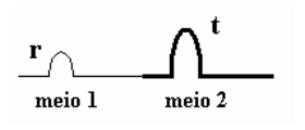 Alternativa C