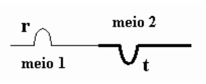 Alternativa D