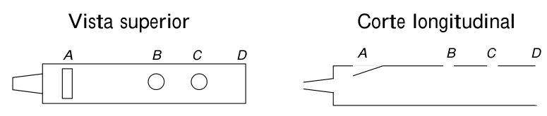Diagrama de uma flauta simplificada com abertura em A, orifícios em B e C, e extremidade aberta em D, mostrando vista superior e corte longitudinal