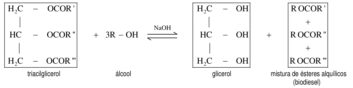 Equação química balanceada da reação de transesterificação do triacilglicerol com álcool para produzir glicerol e mistura de ésteres alquílicos