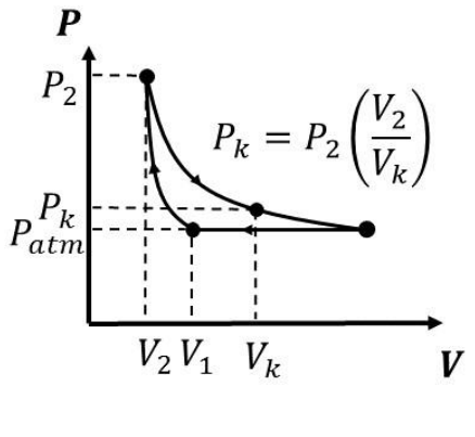 Alternativa B
