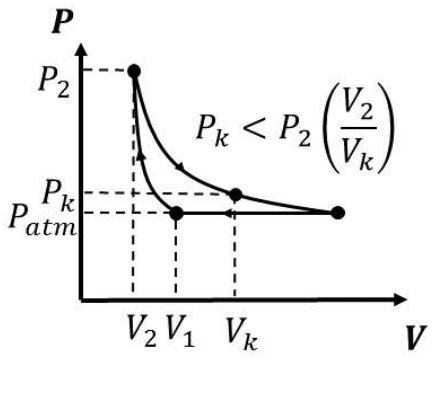 Alternativa D